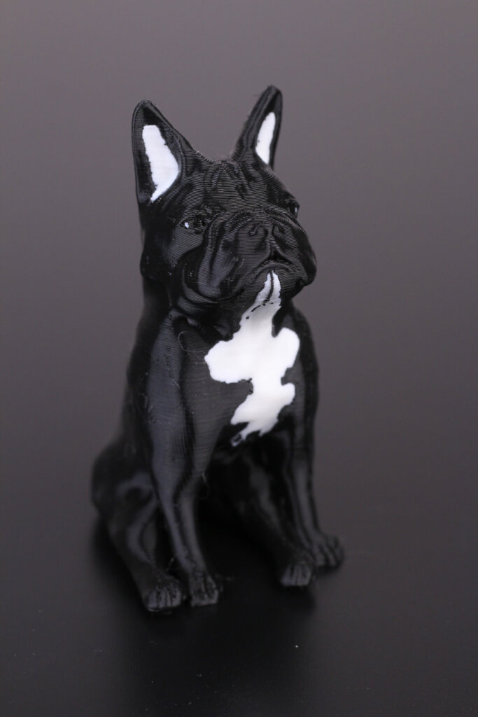 French-Bulldog-Dual-Color-print-on-Tenlog-TL-D3-Pro-1