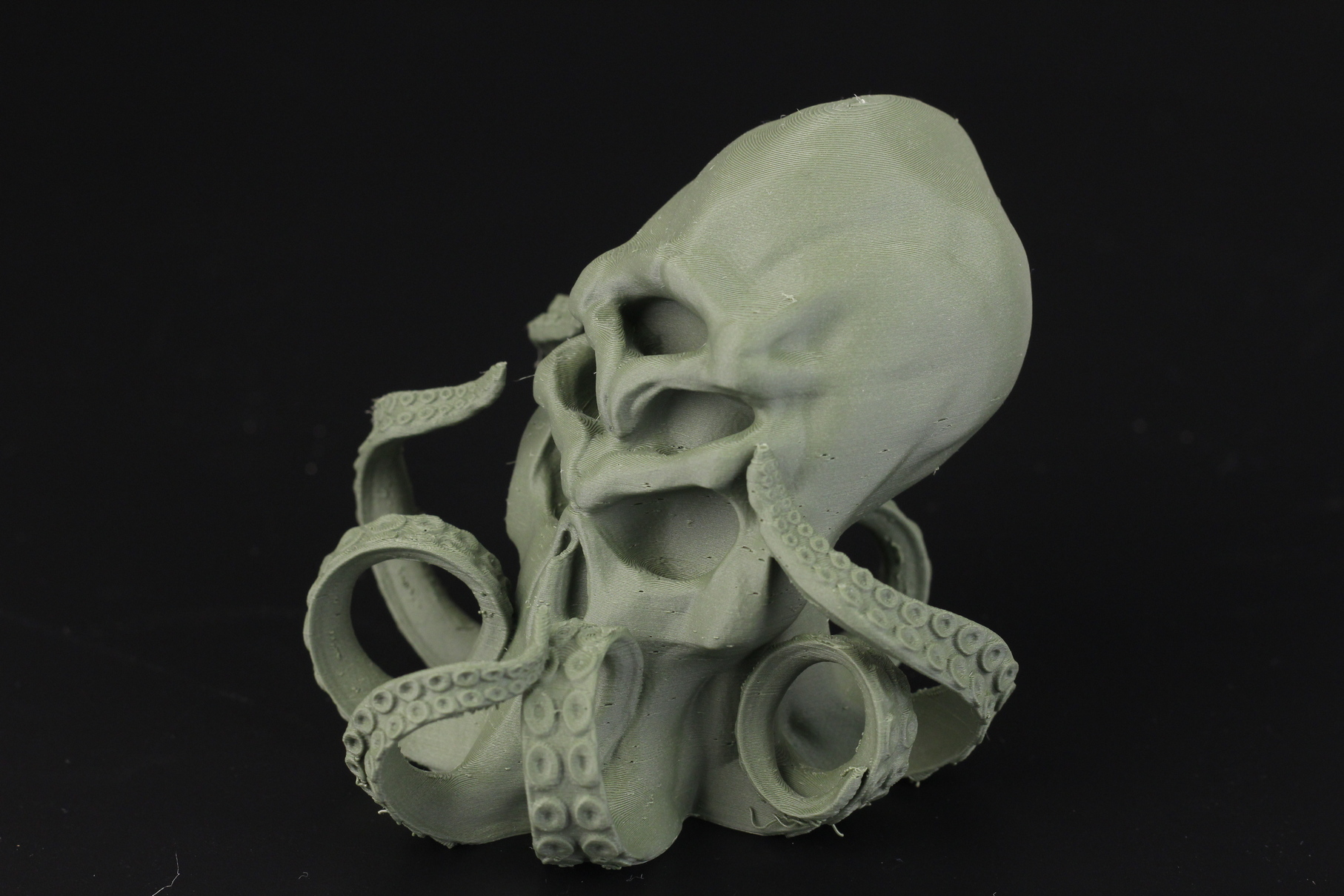 Cthulu printed on BIQU B1 SE PLUS 3 | BIQU B1 SE PLUS Review: SKR 2 and ABL from Factory