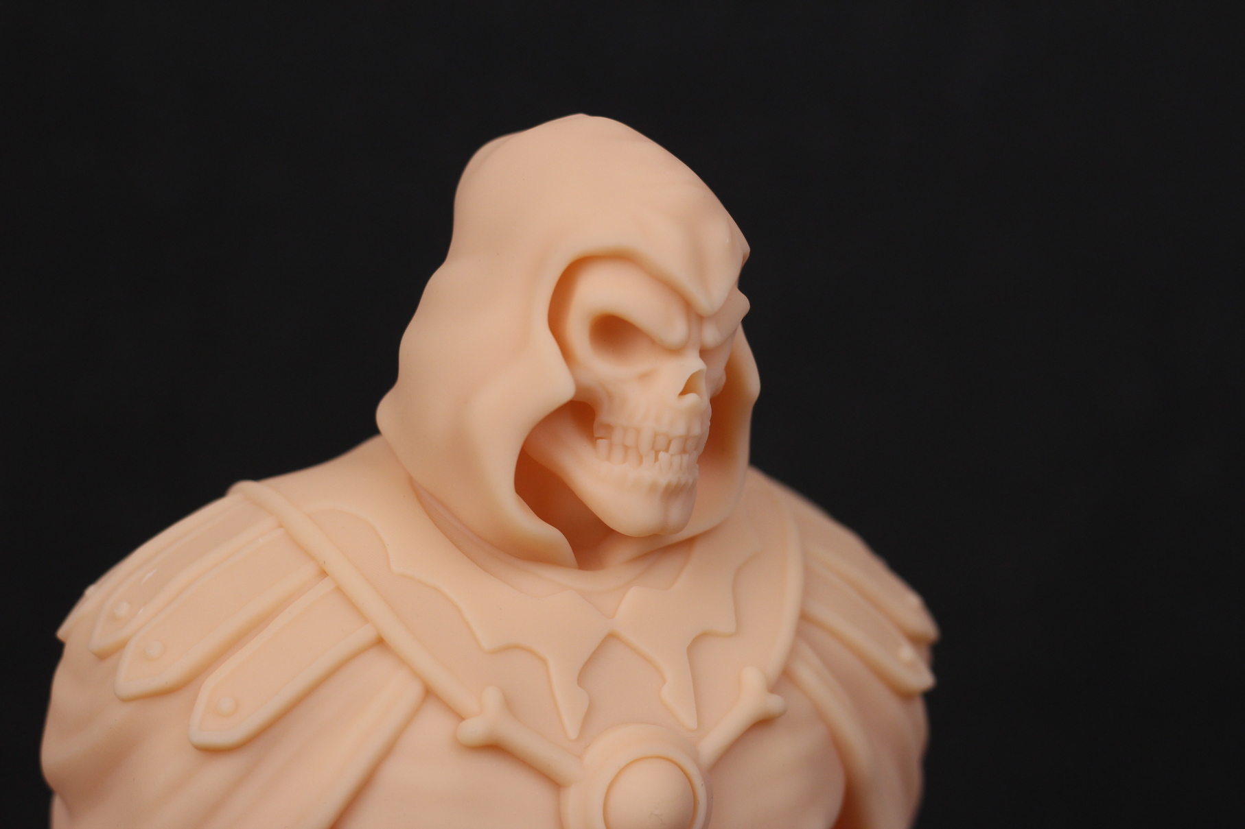Skeletor Bust Fotis Mint 3 | Creality HALOT SKY Review: Worthy of the Premium Price?