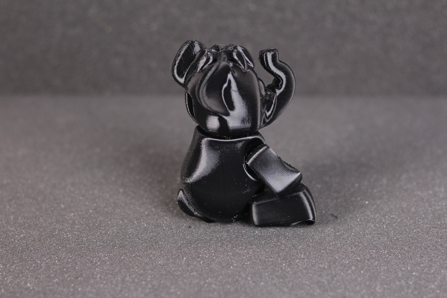 Flexi Mammoth PETG print on the Ender 2 Pro 1 | Creality Ender 2 Pro Review: Is it worth it?