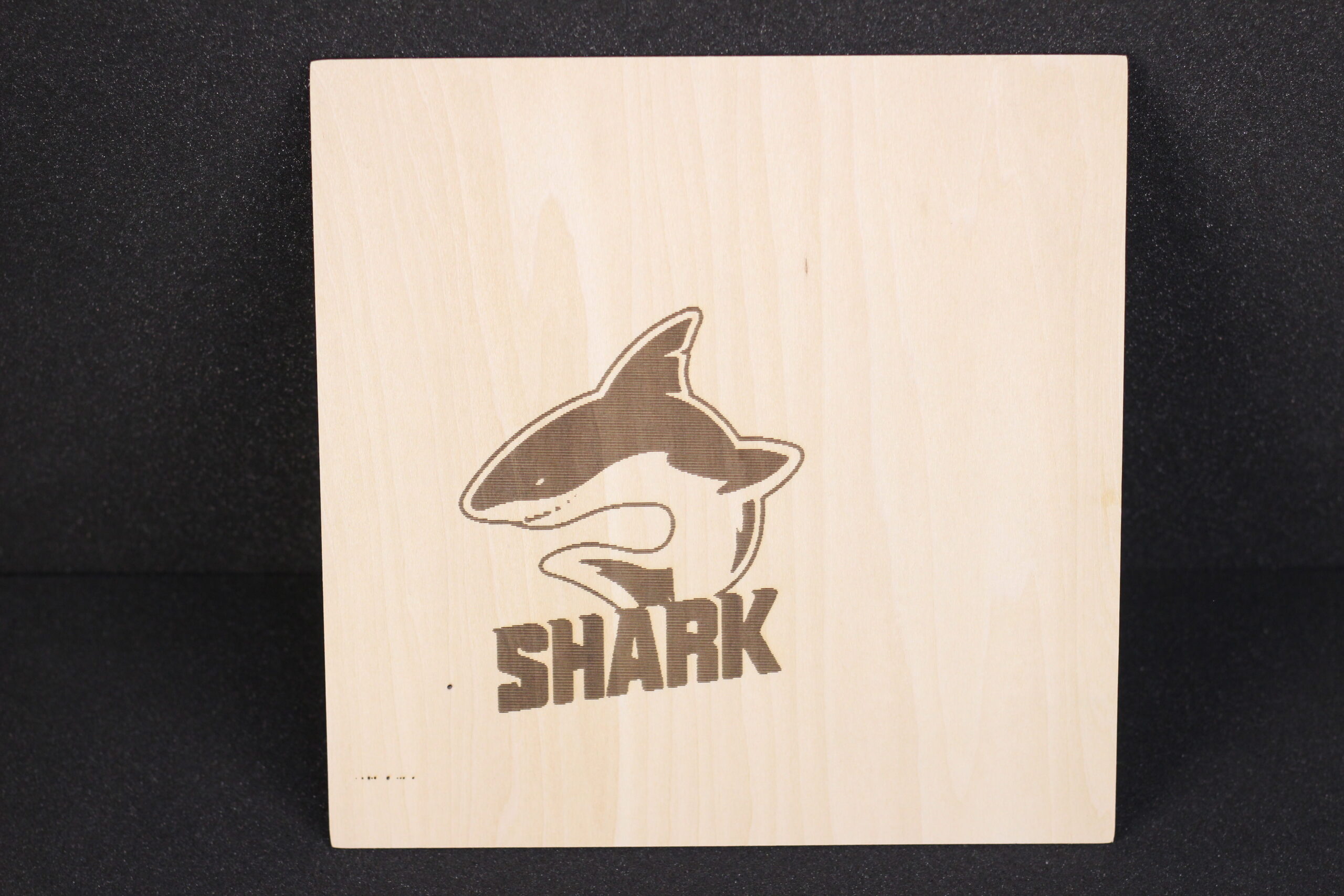 IMG 3002 scaled | LOTMAXX SC-10 Shark V2 Review: Dual Color Printing and Laser Engraving
