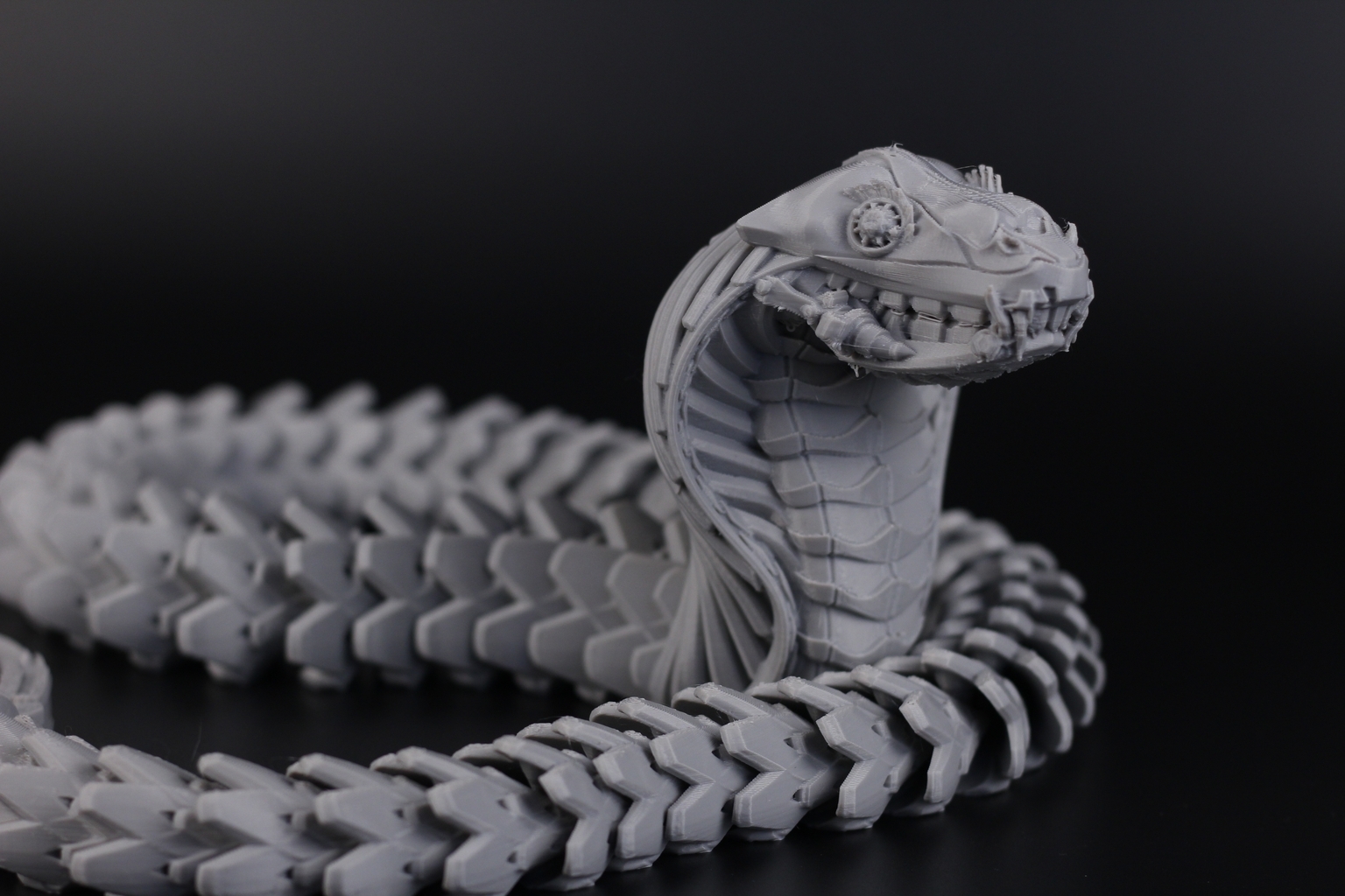 Anycubic Kobra model printed on the Kobra Max 3D Printer1 | Anycubic Kobra Max Review: Big Printer For People with Big Dreams