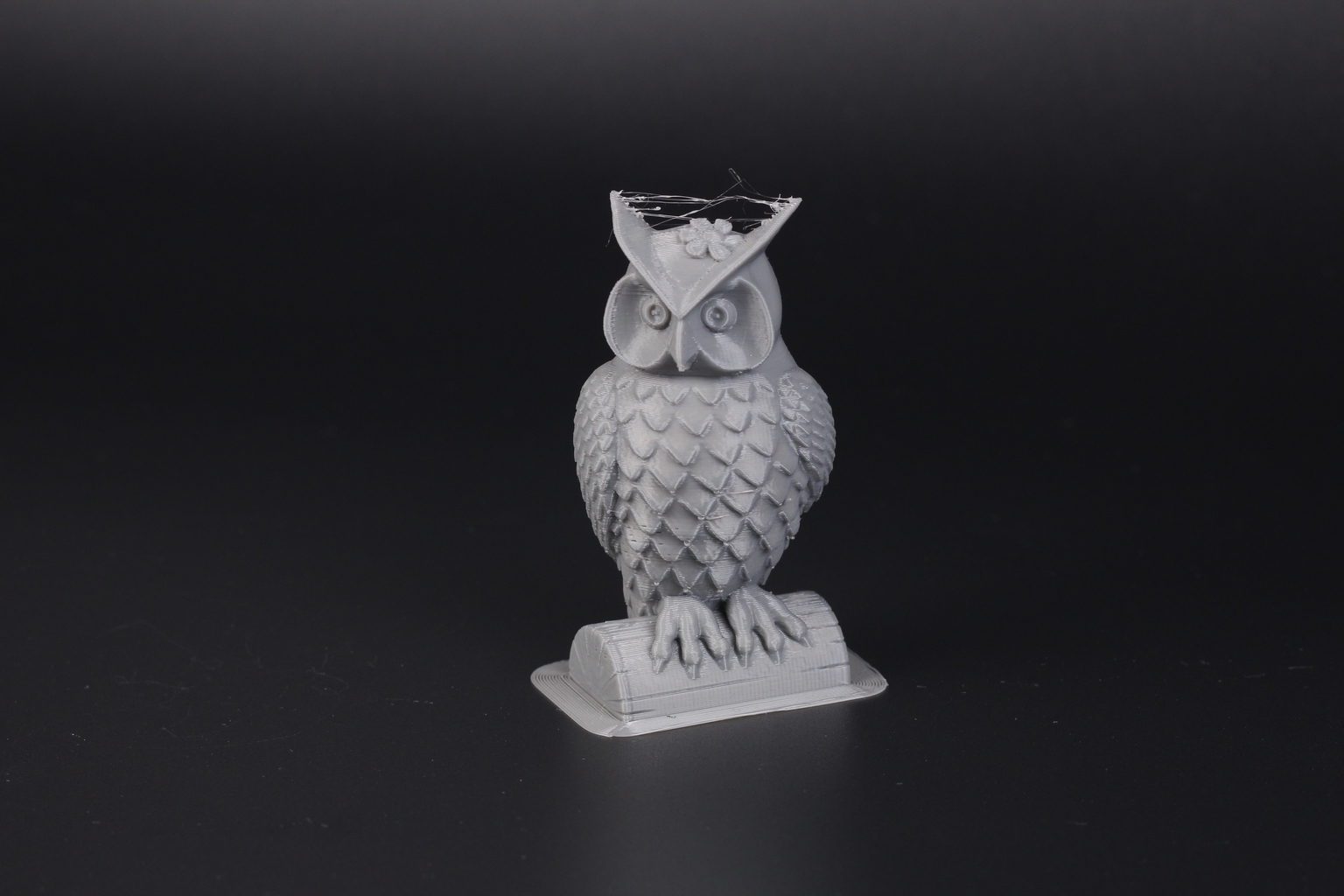 Anycubic Owl Test on Kobra | Anycubic Kobra Max Review: Big Printer For People with Big Dreams