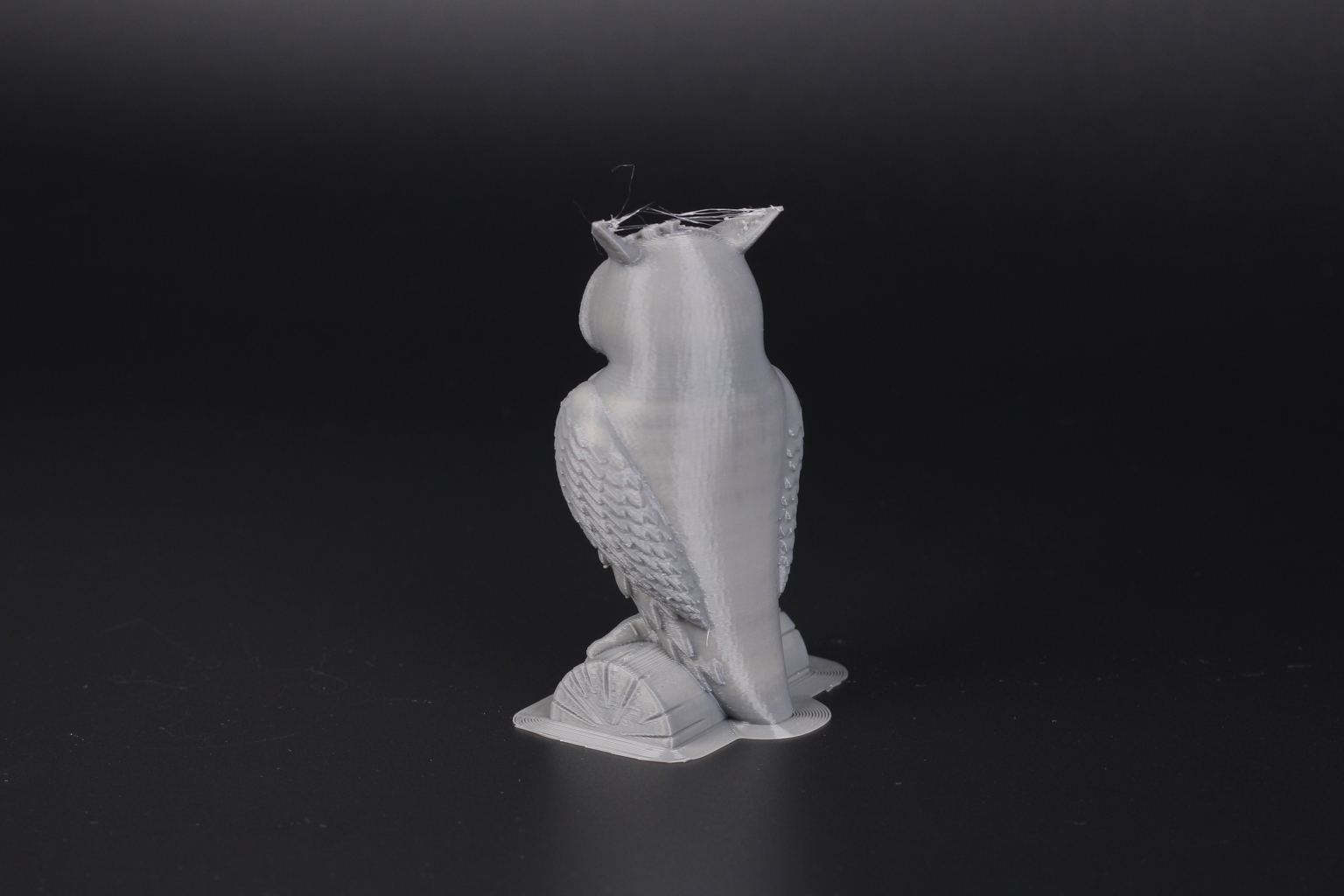 Anycubic Owl Test on Kobra | Anycubic Kobra Max Review: Big Printer For People with Big Dreams
