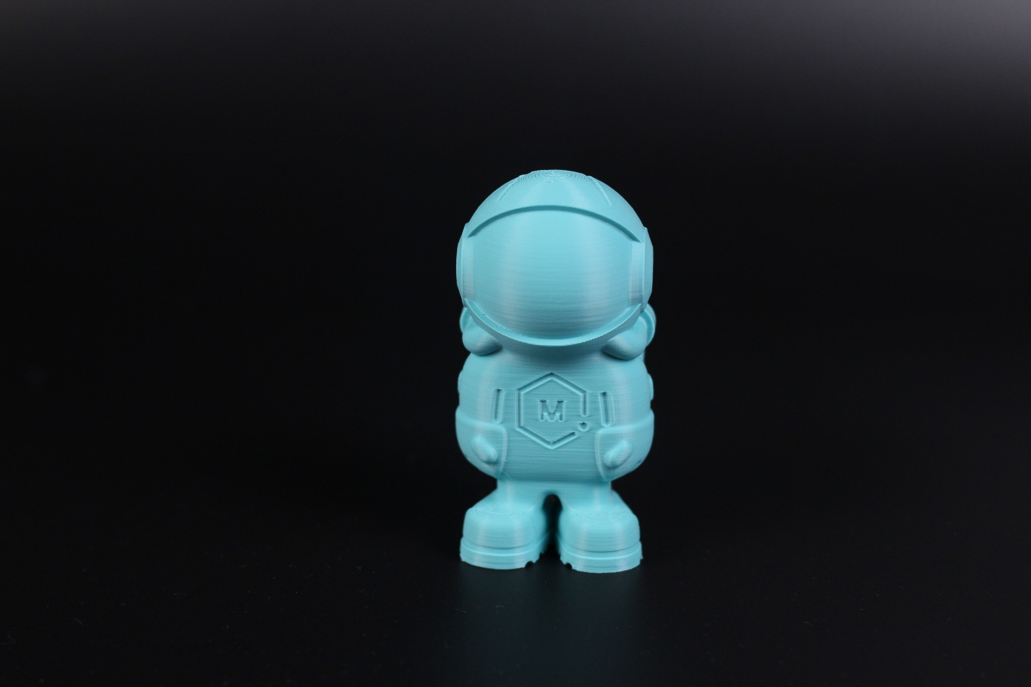 Phil A Ment printed on Anycubic Kobra Extrusion inconsistency 1 | Anycubic Kobra Review: The New Budget Standard