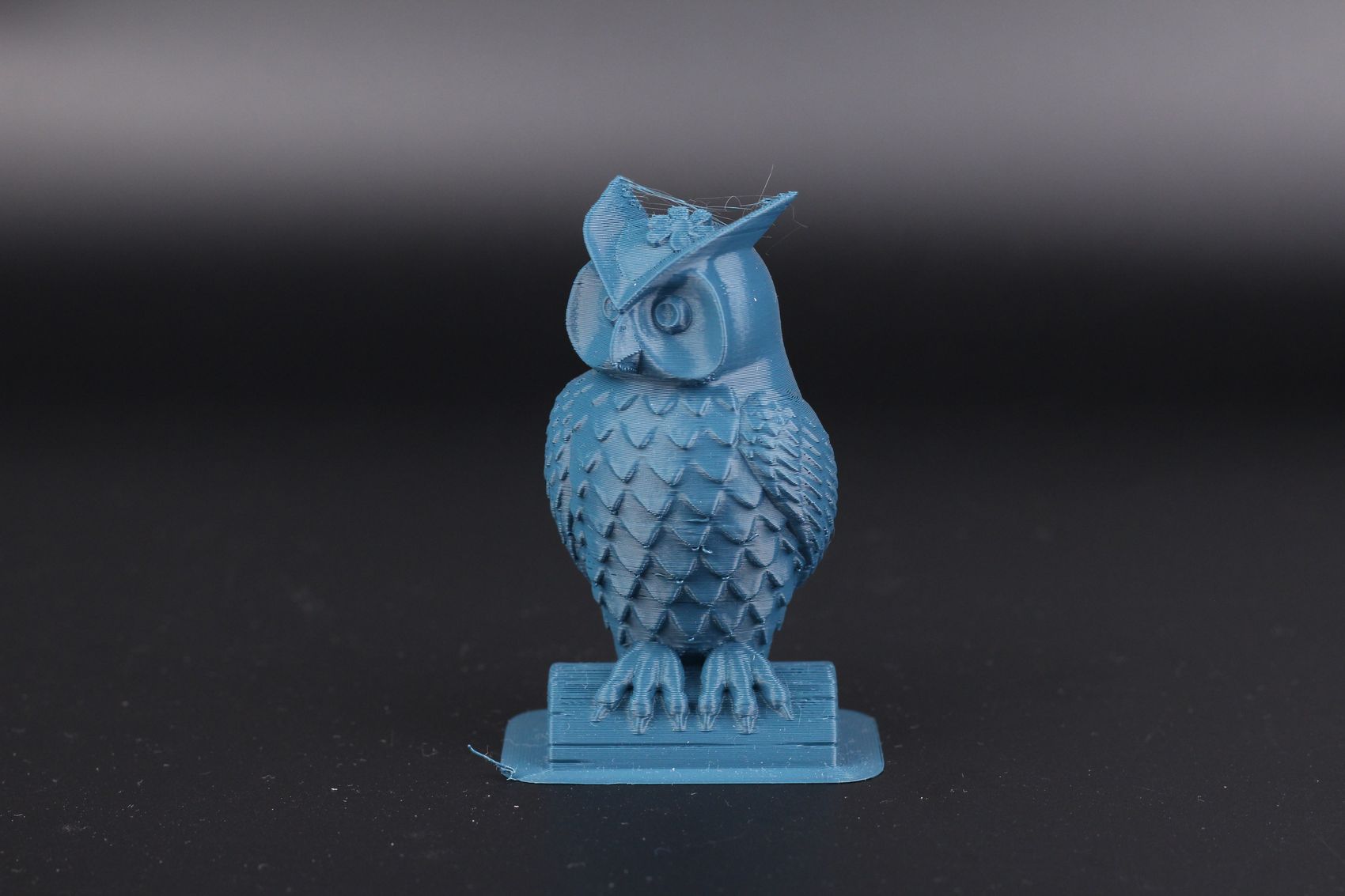 IMG 5013 result | Anycubic Kobra Plus Review: A Larger Vyper