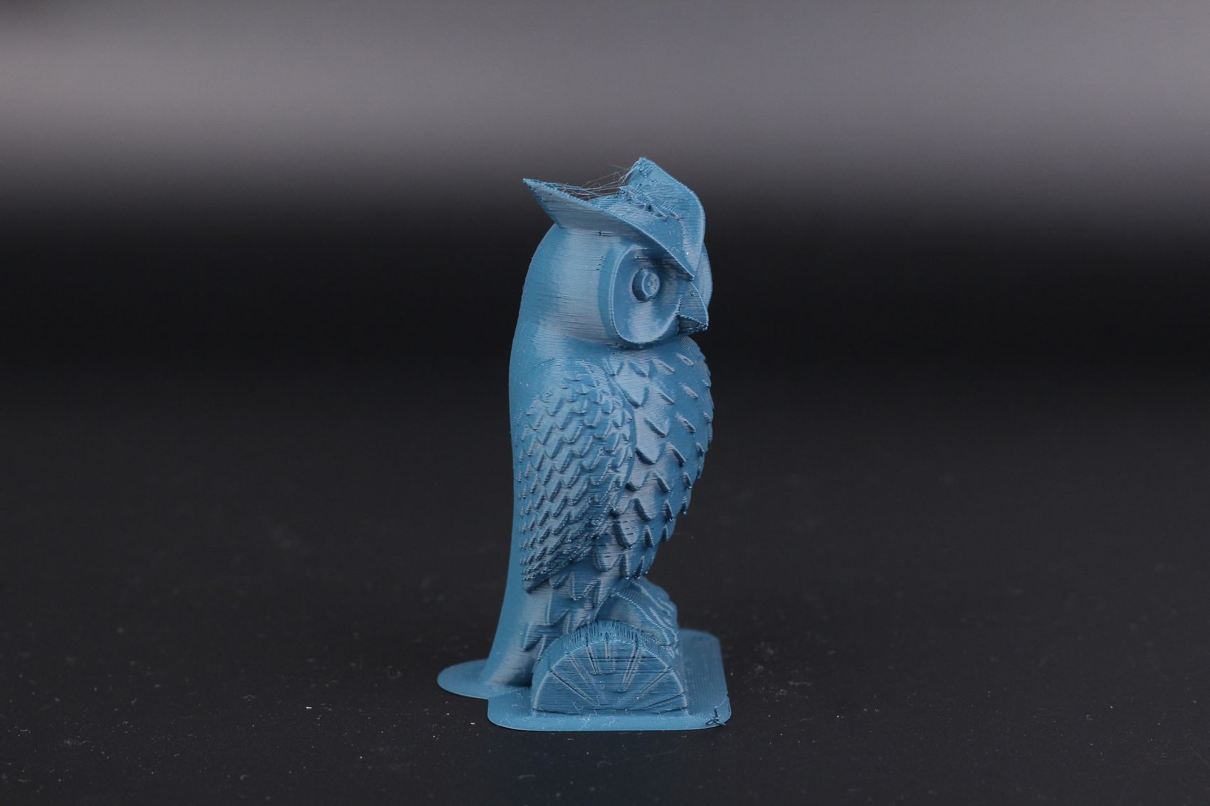 IMG 5014 result | Anycubic Kobra Plus Review: A Larger Vyper