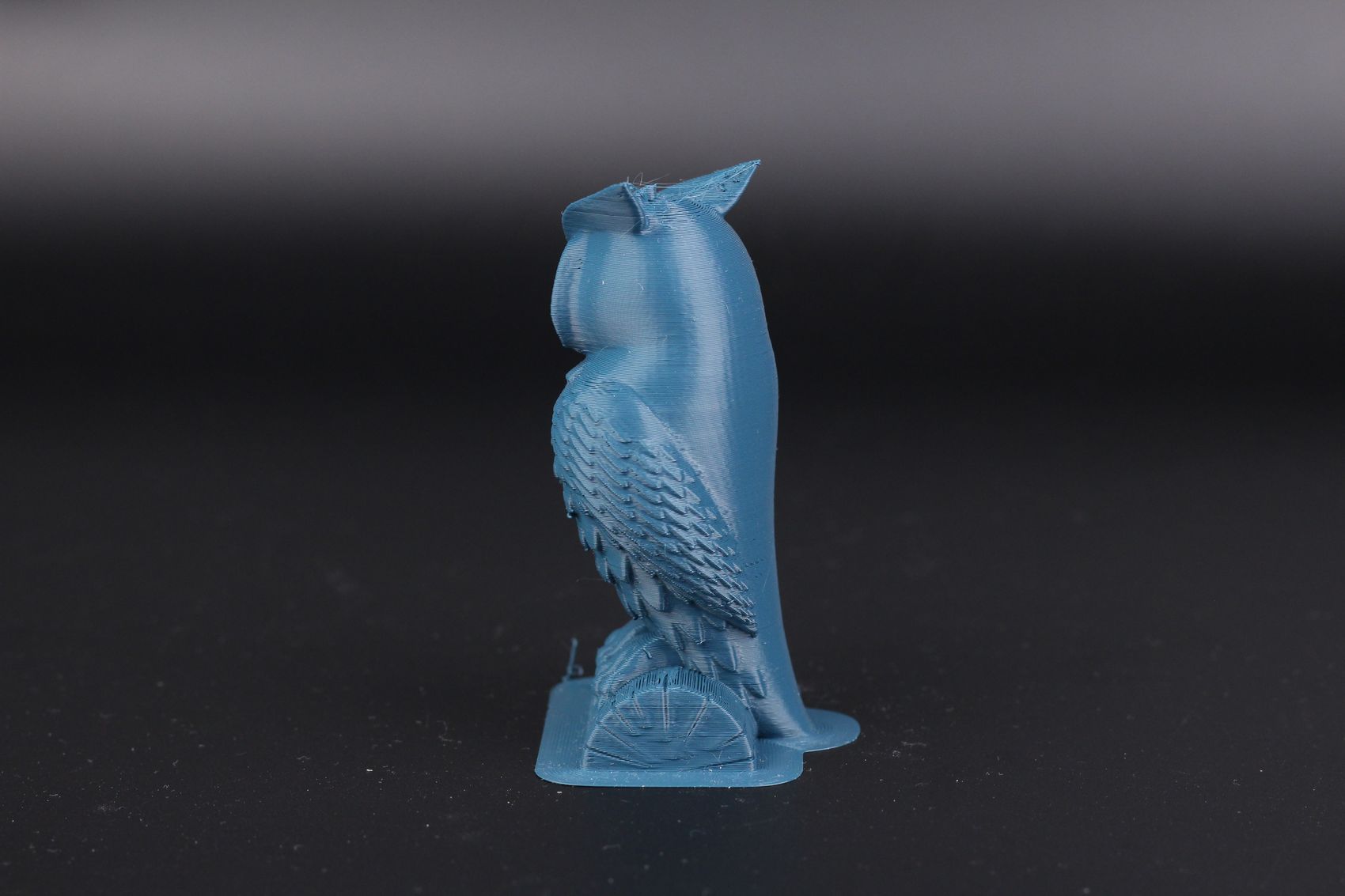 IMG 5016 result | Anycubic Kobra Plus Review: A Larger Vyper